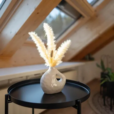 Gemuetliche Mit Schoener Aussicht Schonach im Schwarzwald