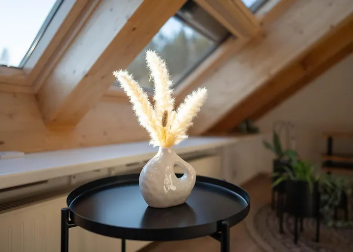 Gemuetliche Mit Schoener Aussicht ショナッハ